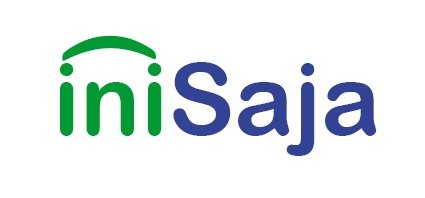 ini saja